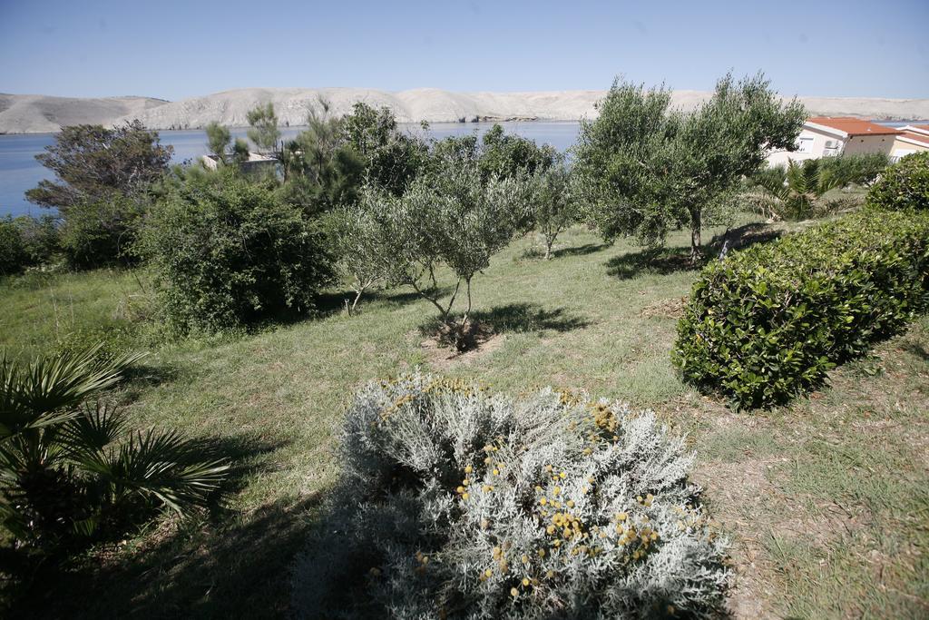 Apartments Roza Miškovići المظهر الخارجي الصورة