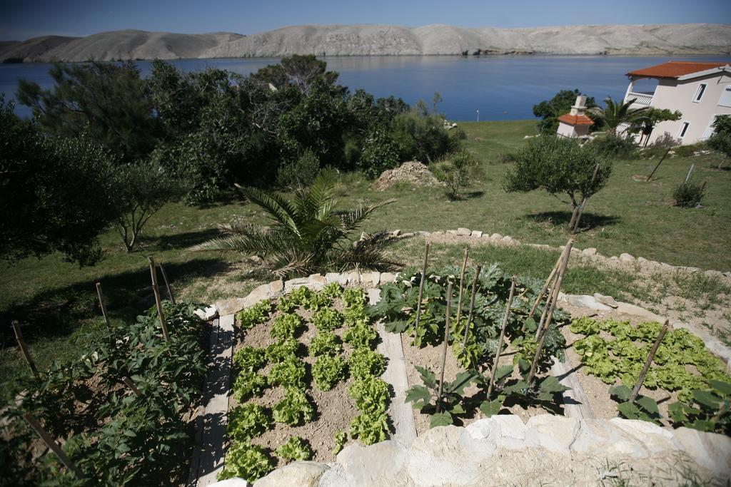 Apartments Roza Miškovići المظهر الخارجي الصورة