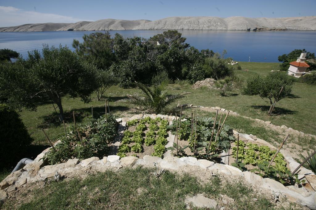 Apartments Roza Miškovići المظهر الخارجي الصورة